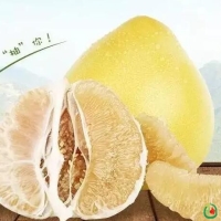 白肉蜜柚功效及营养价值有哪些？