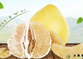 白肉蜜柚功效及营养价值有哪些？