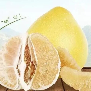白肉蜜柚功效及营养价值有哪些？