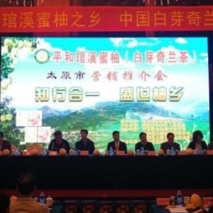 漳州平和琯溪蜜柚入选中国地理标志产品50大品牌